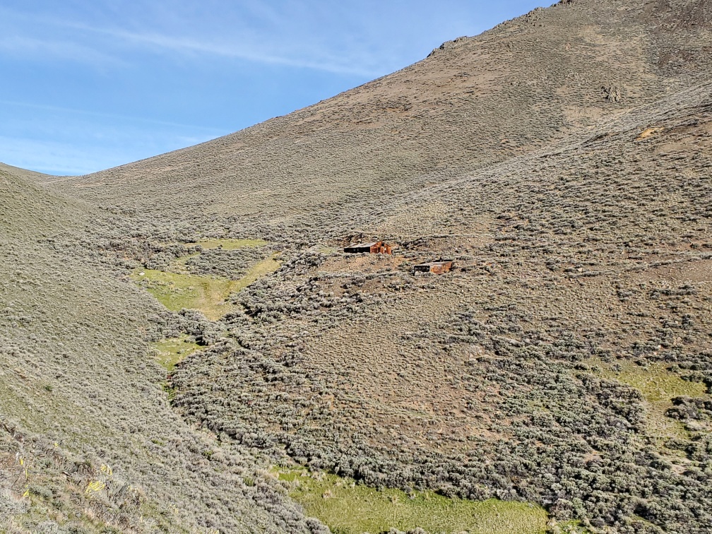 DT-013-2022-05-16 Old Mining Cabin